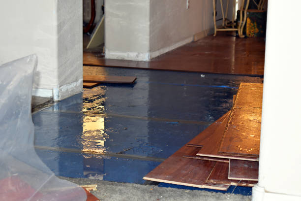 Professional Basement Water Removal technician working in Peculiar, MO